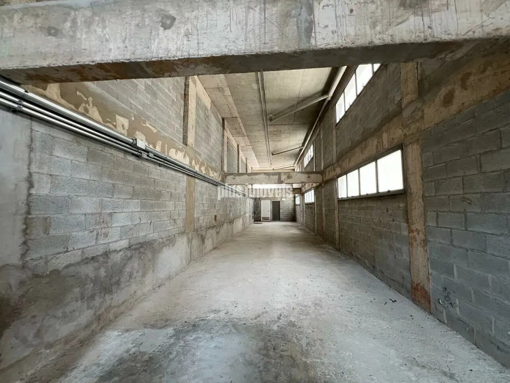 Loja-Salão, 250 m² - Foto 4