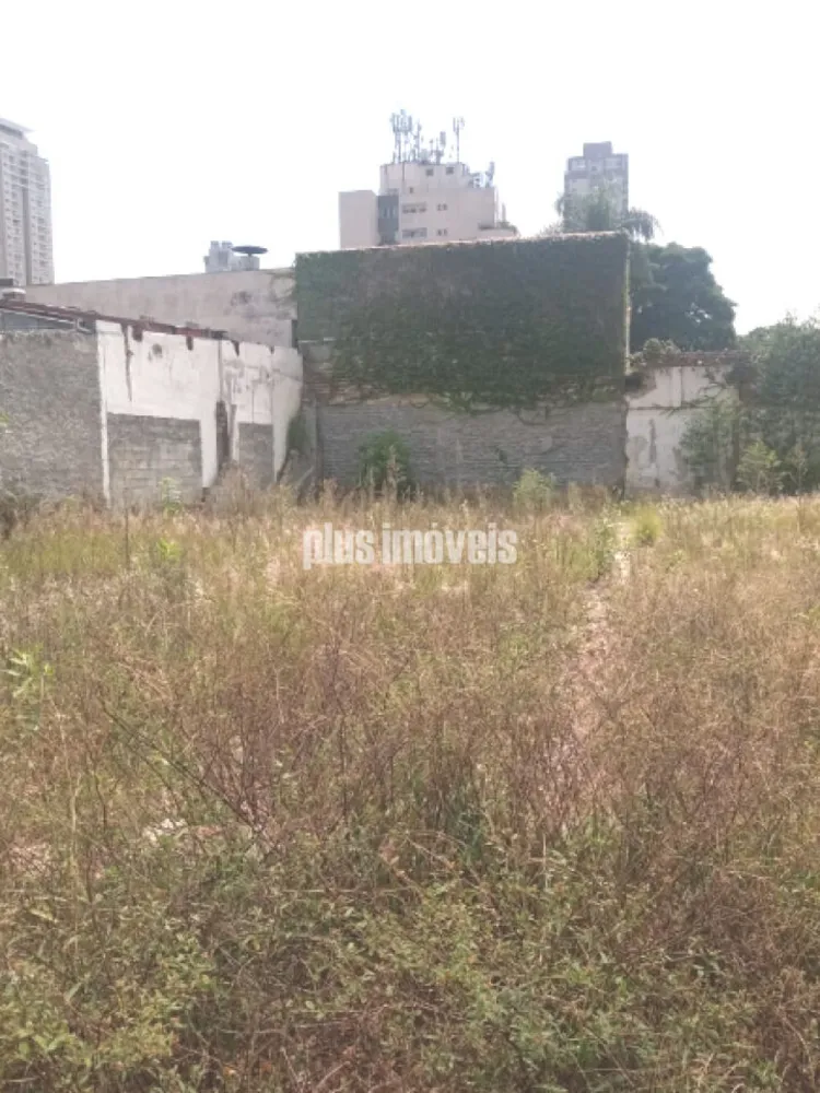 Terreno, 300 m² - Foto 4