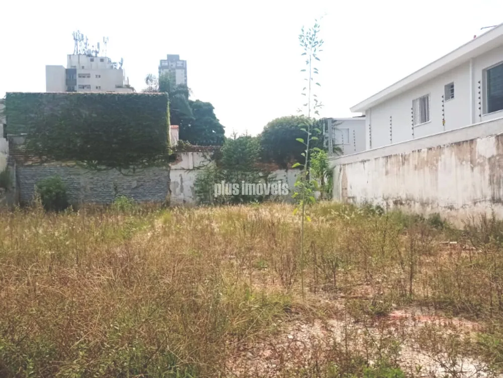 Terreno, 300 m² - Foto 6