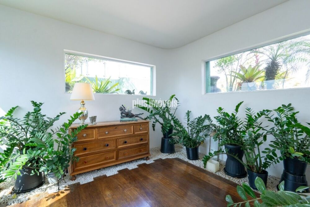 Apartamento, 5 quartos, 576 m² - Foto 3