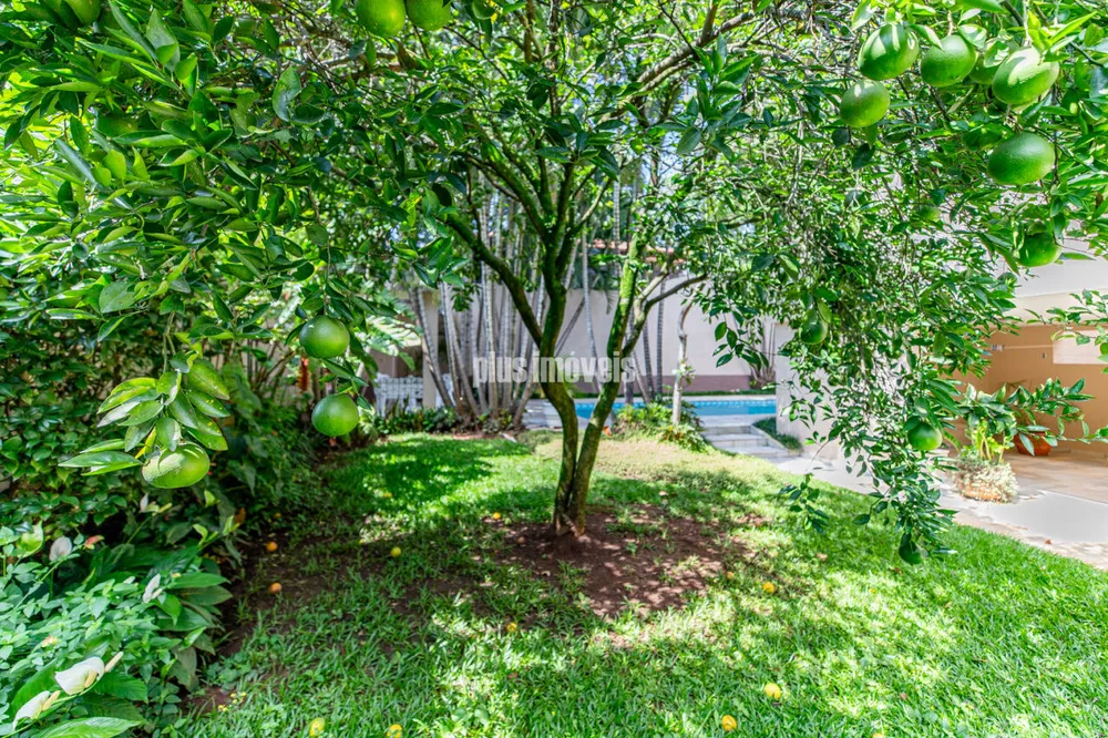Casa, 3 quartos, 388 m² - Foto 32