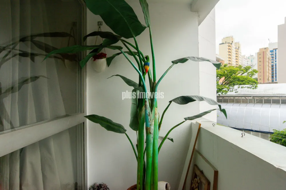Apartamento, 3 quartos, 90 m² - Foto 3