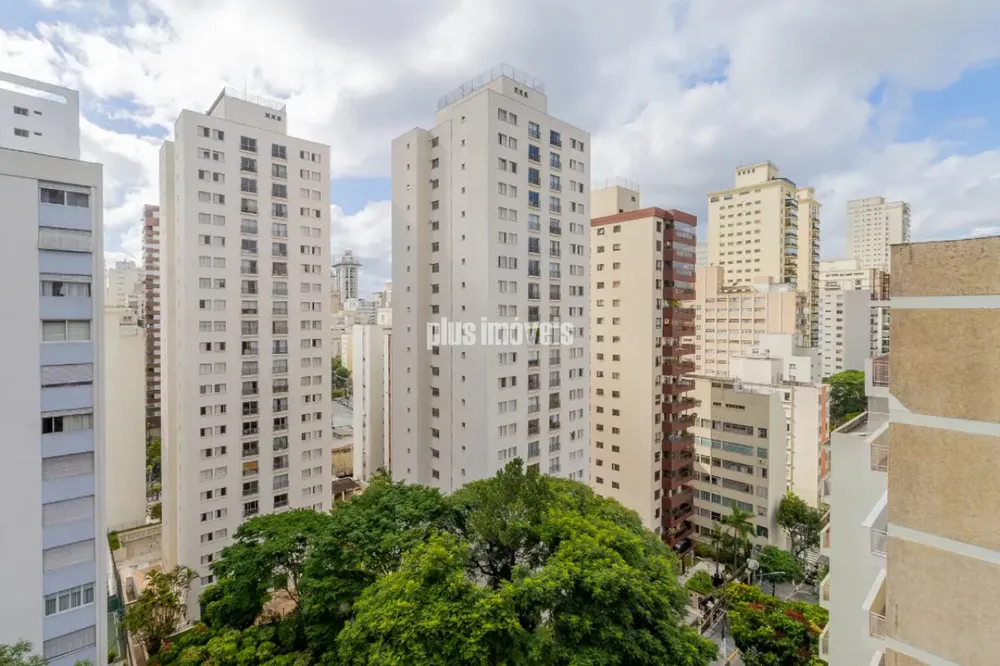 Apartamento, 4 quartos, 500 m² - Foto 10
