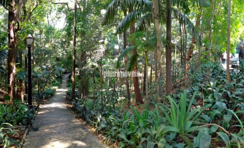 Apartamento, 3 quartos, 90 m² - Foto 5