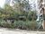 Terreno, 712 m² - Foto 1