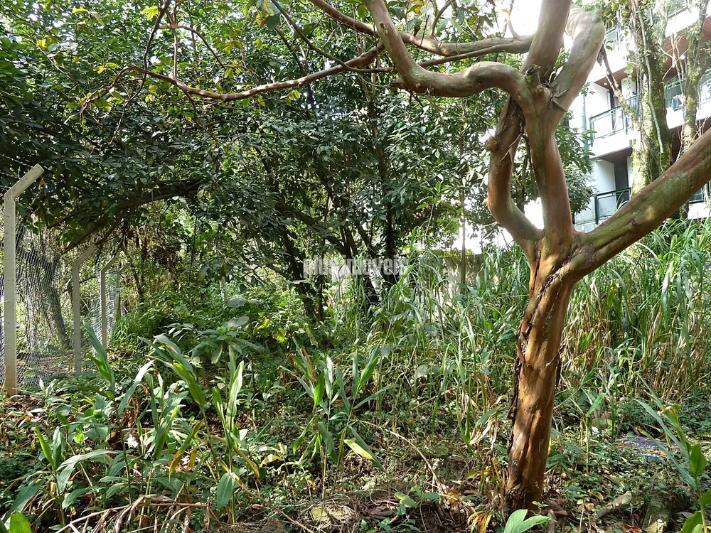 Terreno, 712 m² - Foto 4