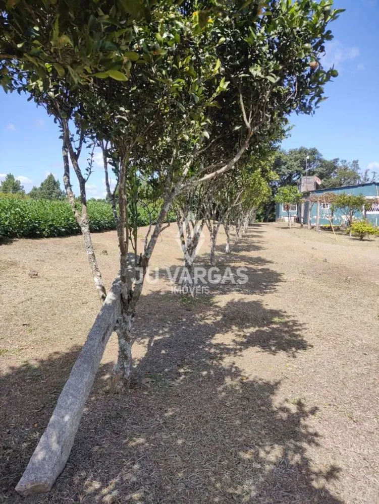 Sítio, 3 quartos, 8 hectares - Foto 1