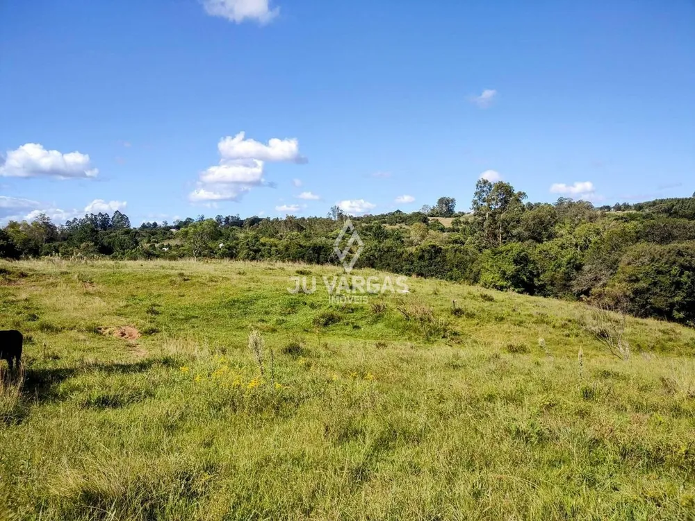 Sítio, 4 quartos, 7 hectares - Foto 4