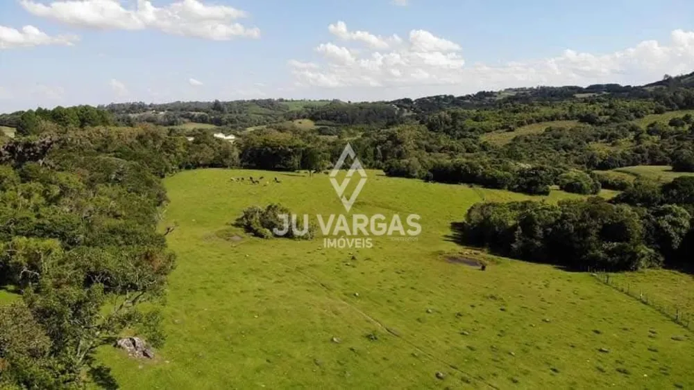 Sítio, 2 quartos, 9 hectares - Foto 1