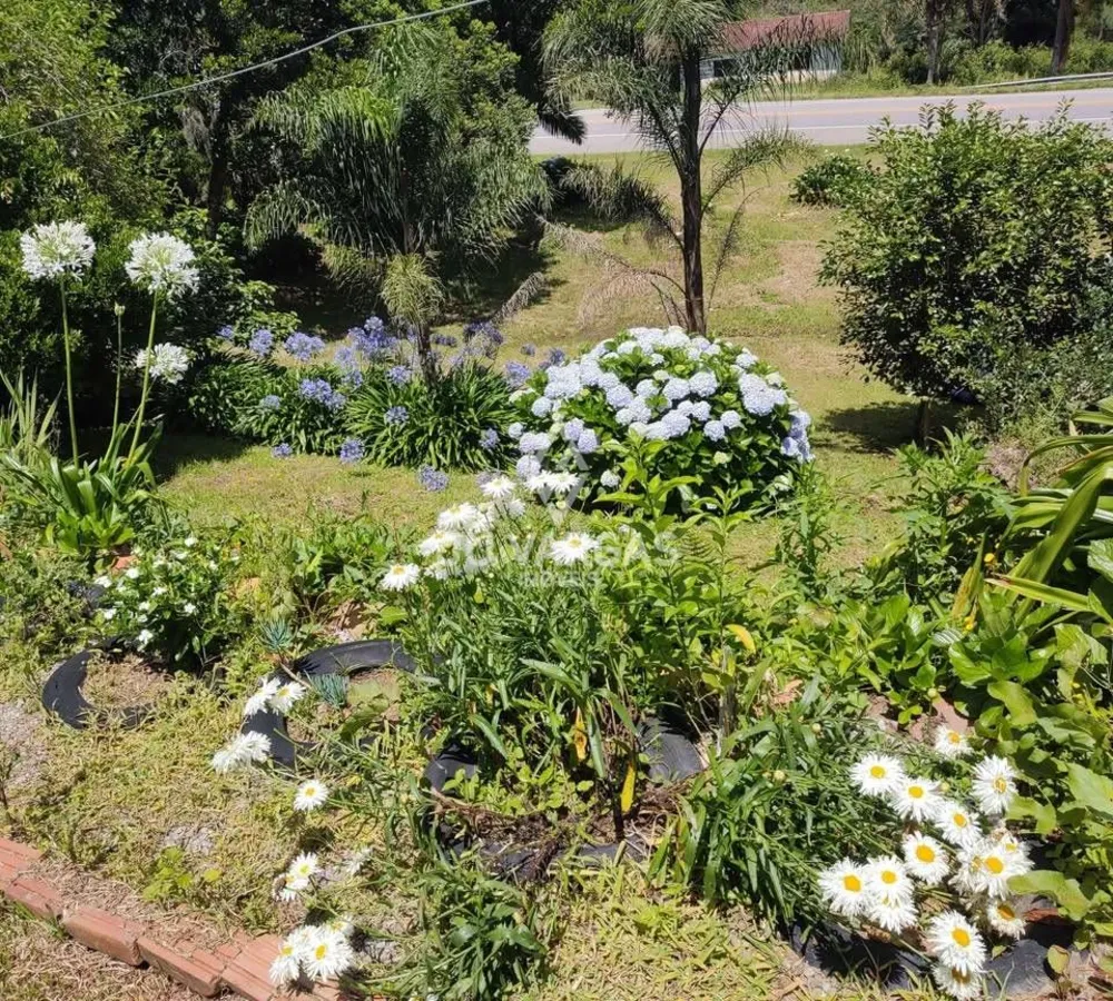 Sítio, 3 quartos, 5000 m² - Foto 6