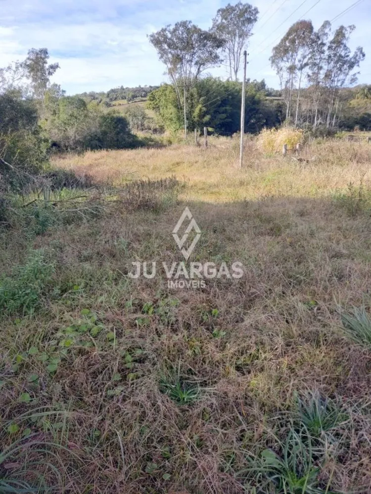 Sítio, 4 hectares - Foto 3