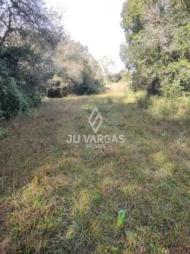 Sítio, 4 hectares - Foto 1