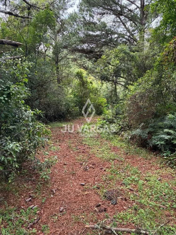 Sítio, 1 quarto, 50 m² - Foto 9