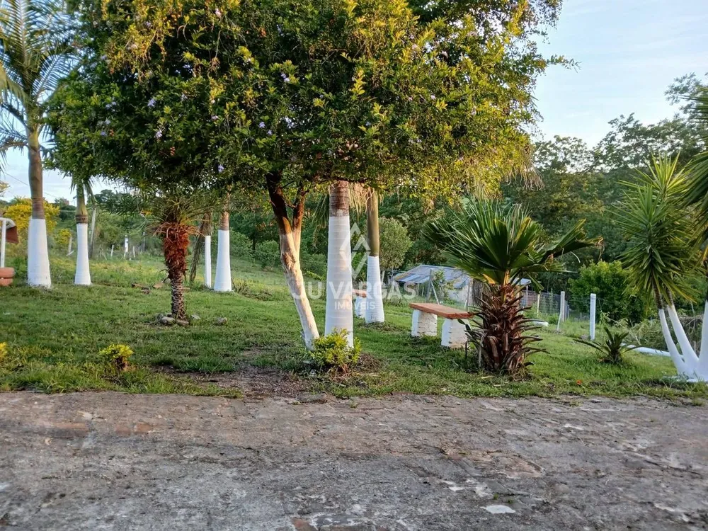 Sítio, 3 quartos, 3 hectares - Foto 10