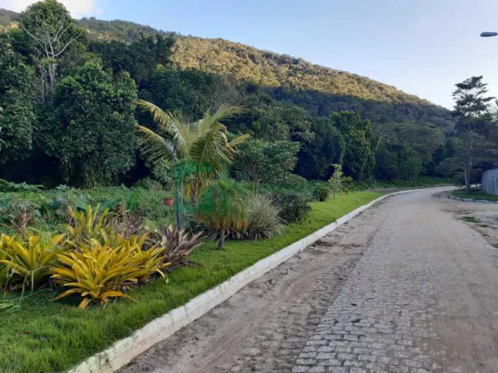 Terreno, 300 m² - Foto 2