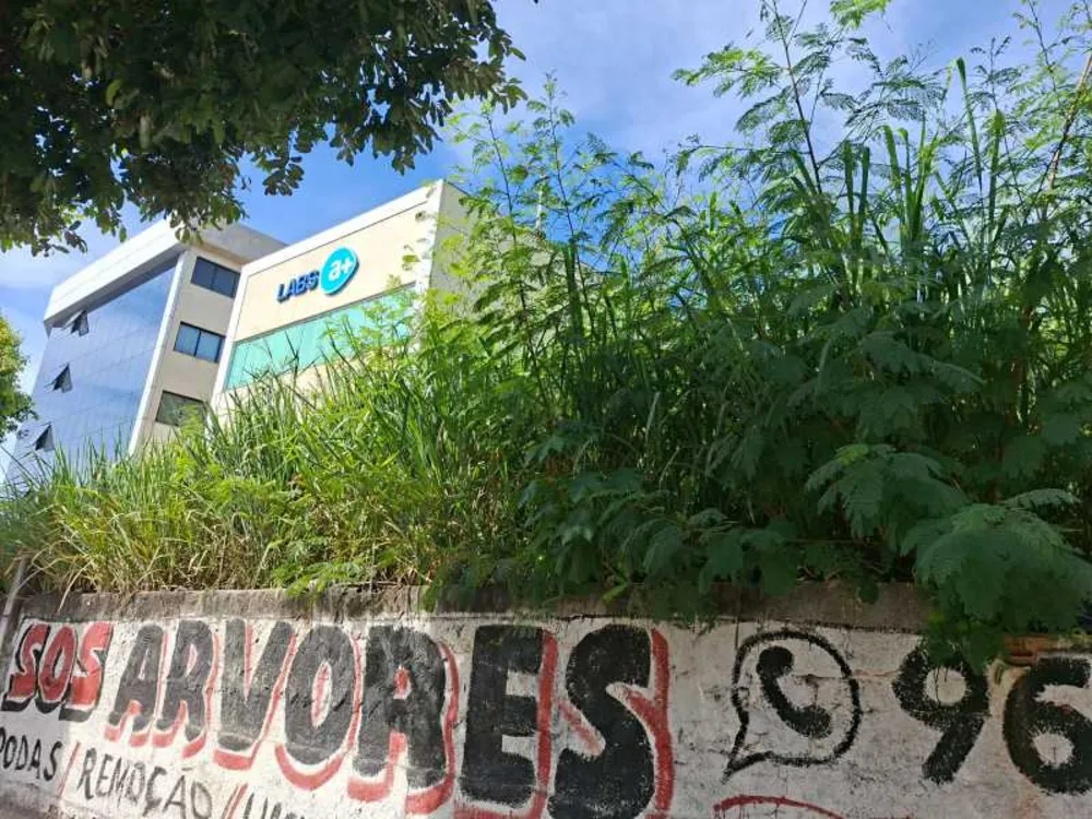 Terreno, 3393 m² - Foto 6
