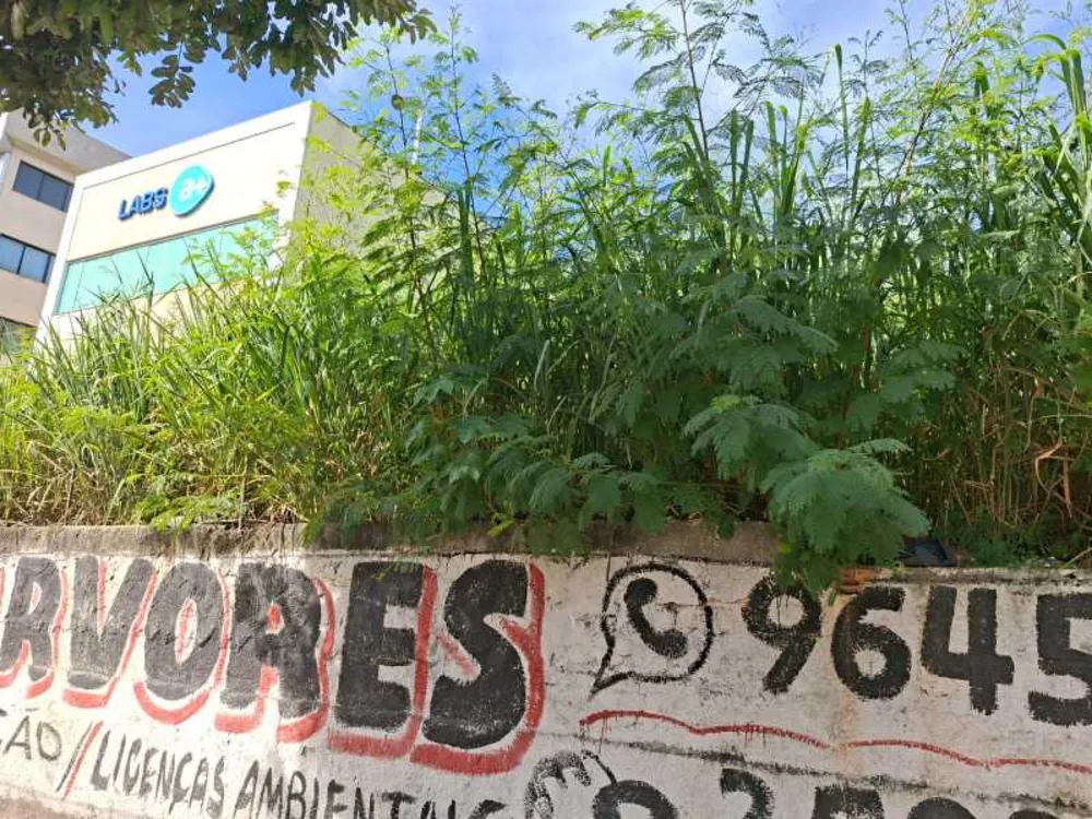 Terreno, 3393 m² - Foto 7
