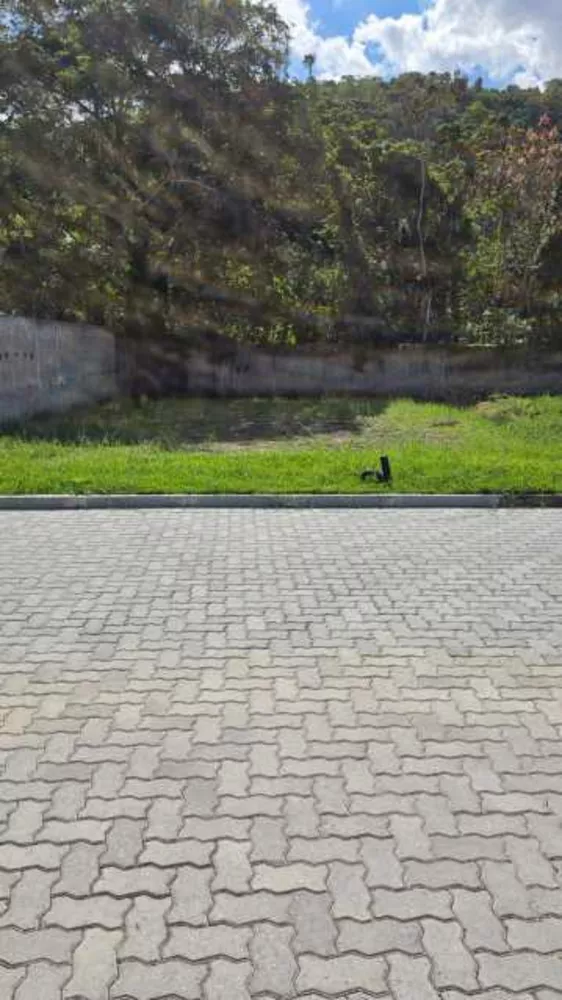 Terreno, 375 m² - Foto 6