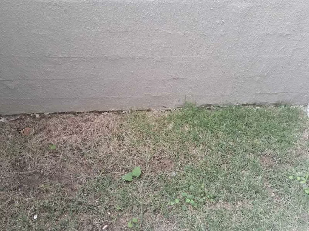 Apartamento, 2 quartos, 48 m² - Foto 6