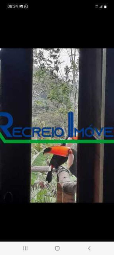 Sítio, 3 quartos, 2600 m² - Foto 15