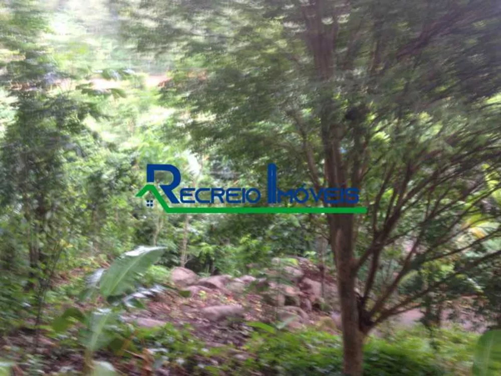 Terreno, 8000 m² - Foto 8