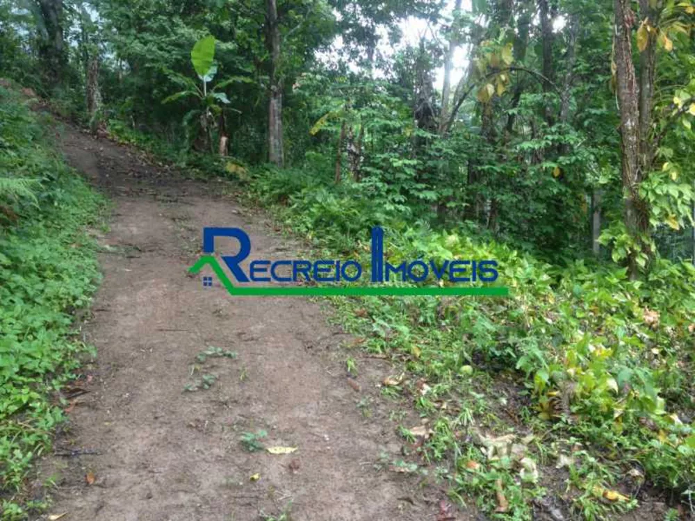 Terreno, 8000 m² - Foto 7