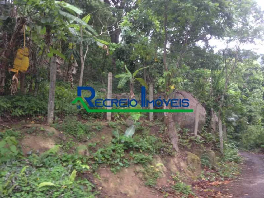 Terreno, 8000 m² - Foto 5
