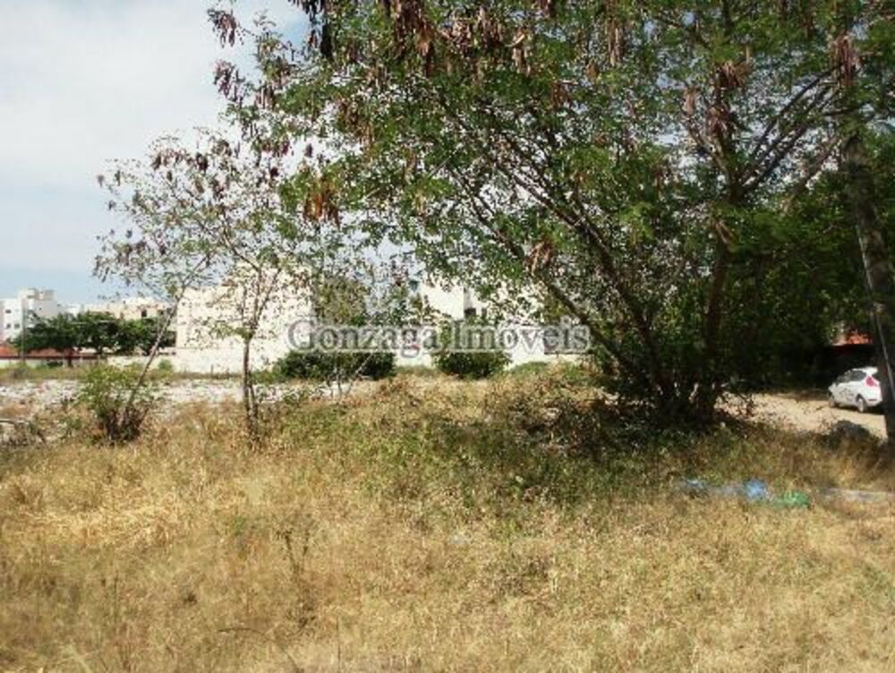 Terreno, 3406 m² - Foto 4