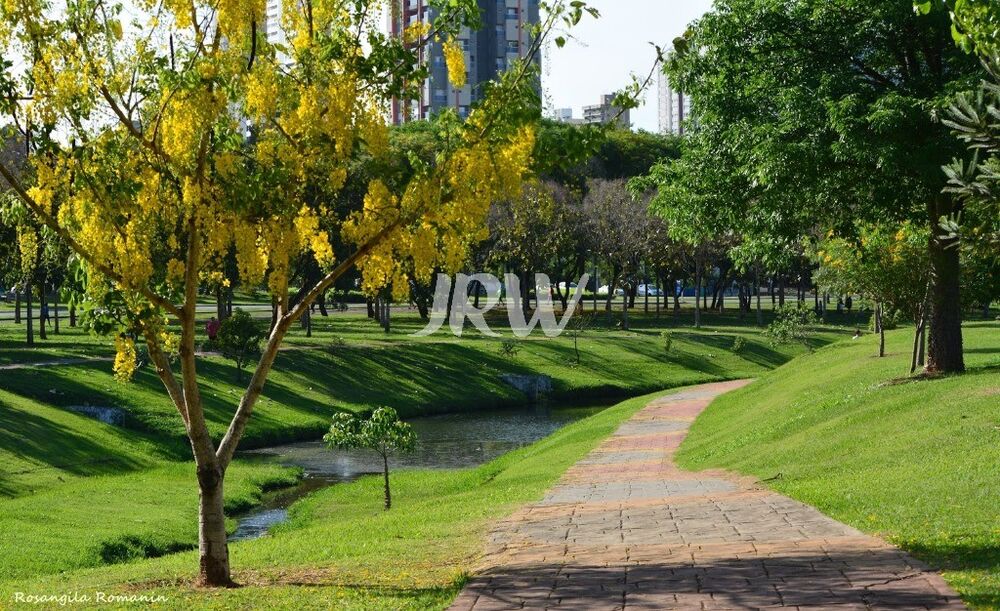 Terreno, 250 m² - Foto 15