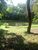 Chácara, 3 quartos, 2 hectares - Foto 18