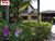Fazenda, 4200 m² - Foto 3