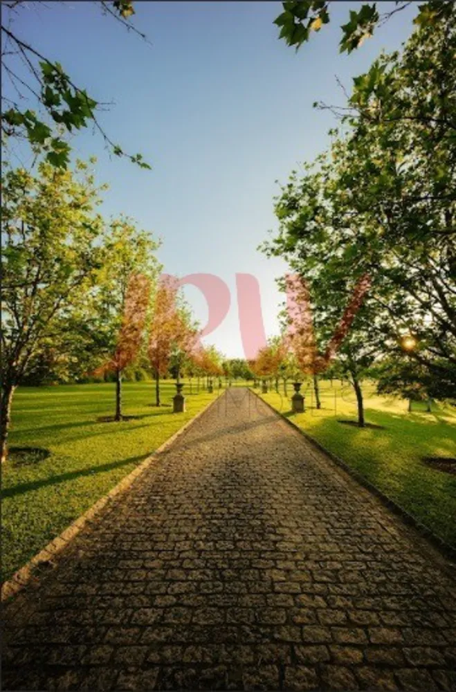 Terreno, 598 m² - Foto 6