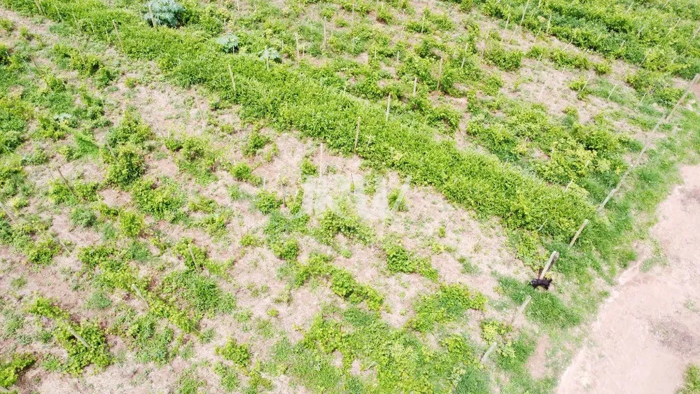 Terreno, 642000 m² - Foto 4