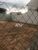 Terreno, 381 m² - Foto 4