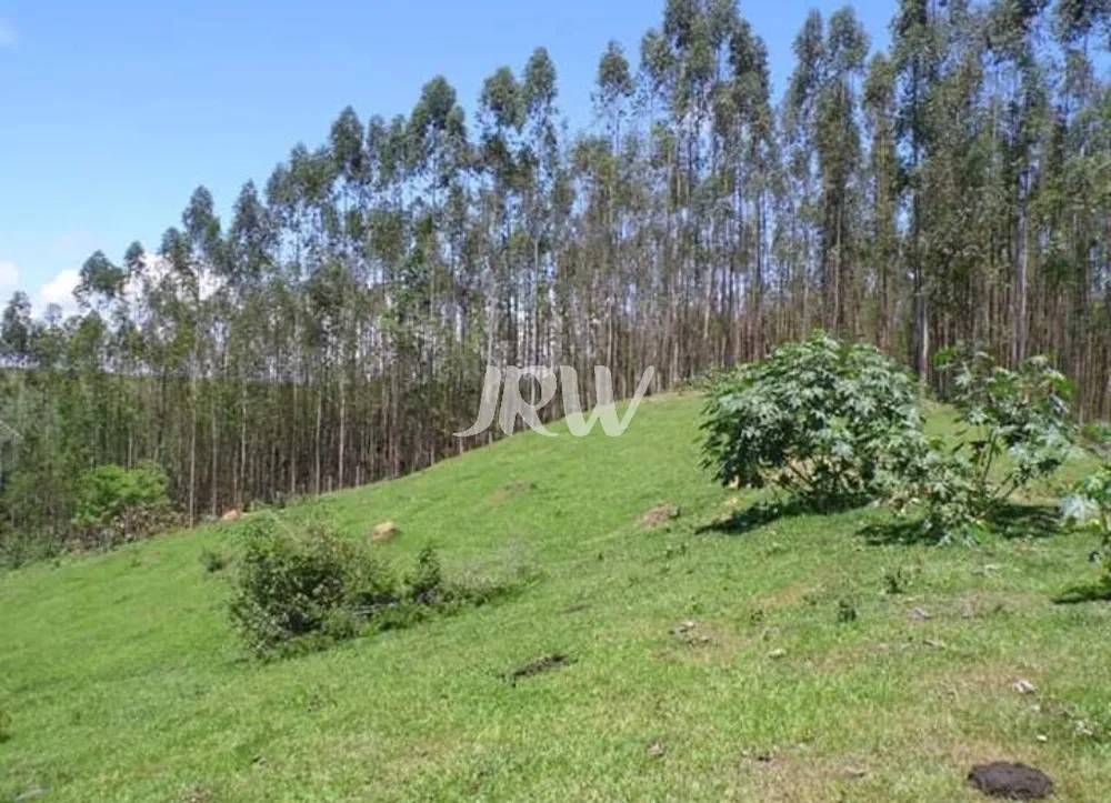 Terreno, 21000 m² - Foto 8
