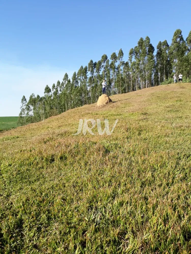 Terreno, 21000 m² - Foto 9