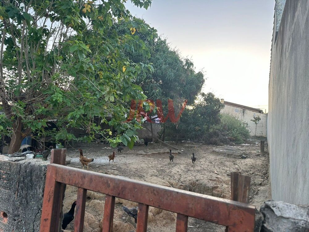 Terreno, 250 m² - Foto 3