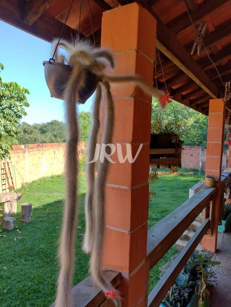 Chácara, 3 quartos, 900 m² - Foto 7