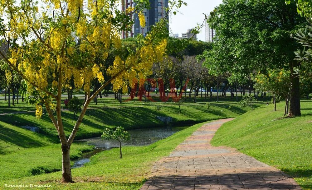 Terreno, 392 m² - Foto 3