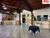 Sobrado, 4 quartos, 449 m² - Foto 7