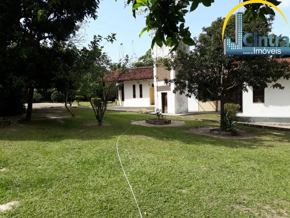 Sítio, 5 quartos, 5000 m² - Foto 12