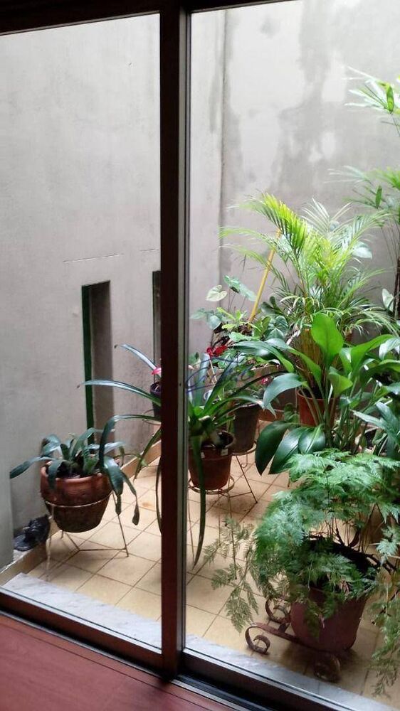 Casa, 4 quartos, 238 m² - Foto 5