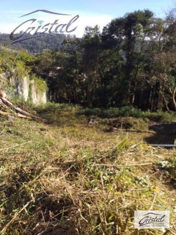 Terreno, 2000 m² - Foto 5