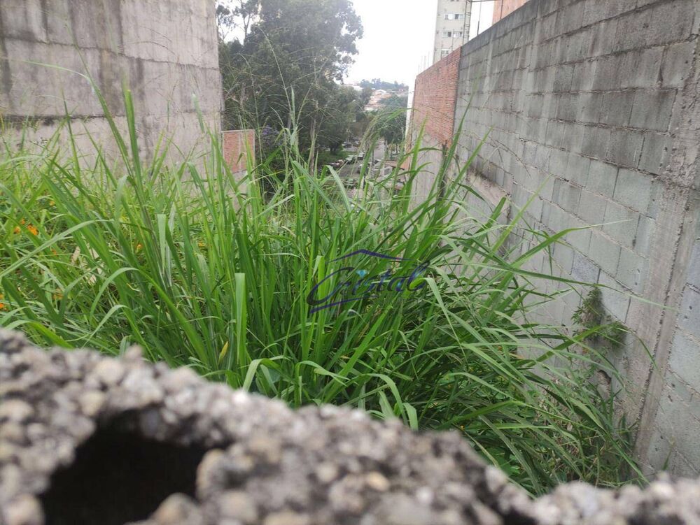 Terreno, 257 m² - Foto 4