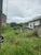 Terreno, 400 m² - Foto 4