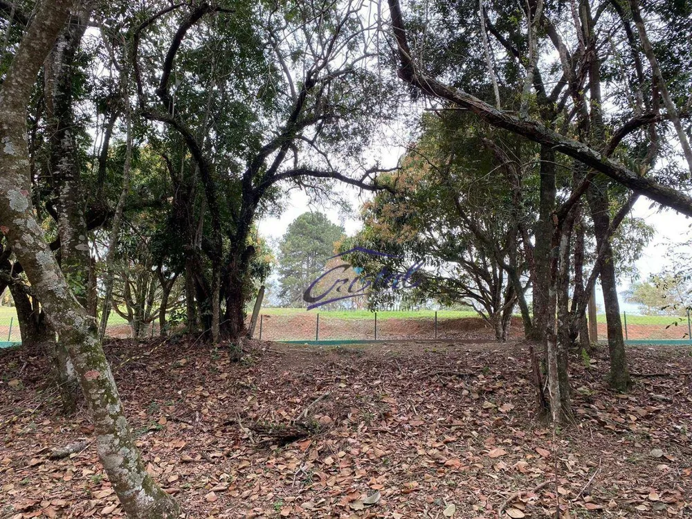 Loteamento e Condomínio, 1575 m² - Foto 4