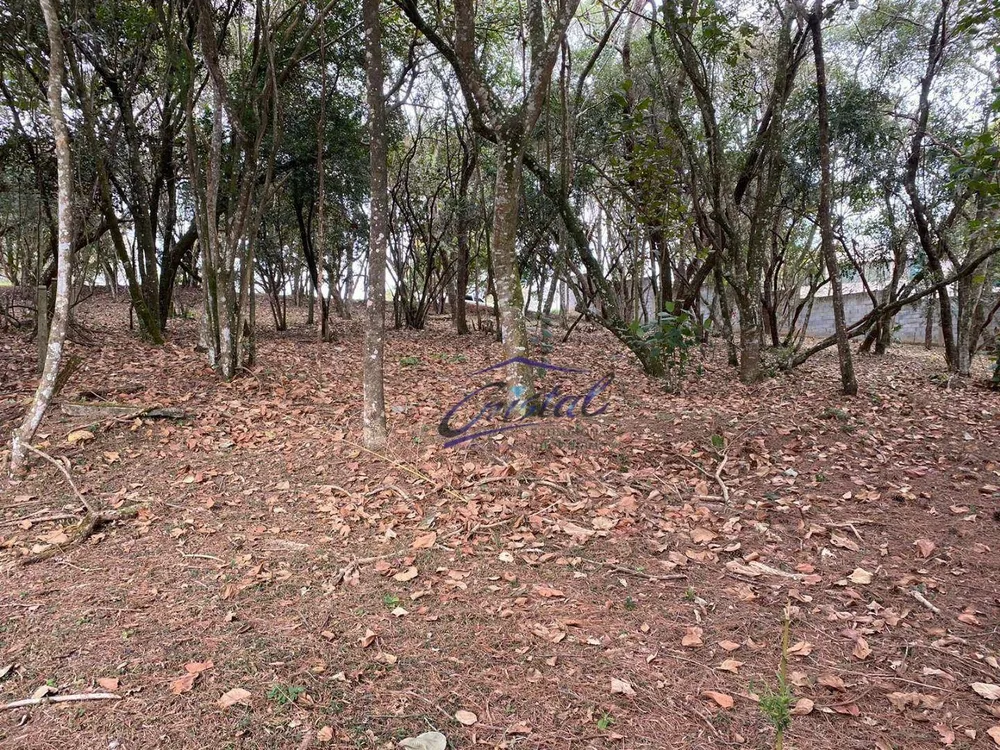 Loteamento e Condomínio, 1575 m² - Foto 1