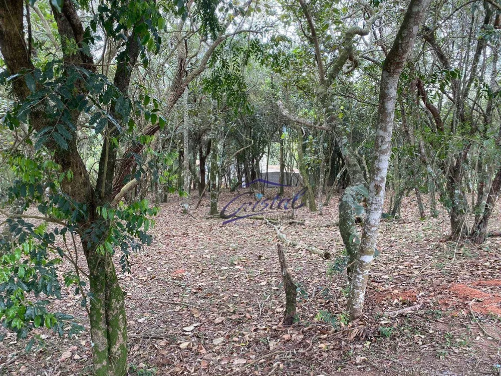Loteamento e Condomínio, 1575 m² - Foto 3