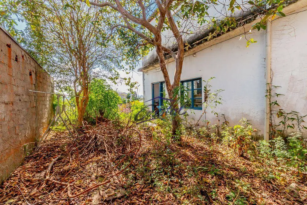 Casa, 4 quartos, 350 m² - Foto 12