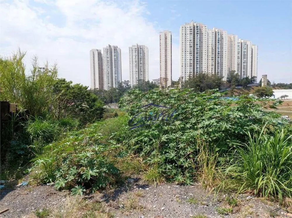Terreno, 4600 m² - Foto 1